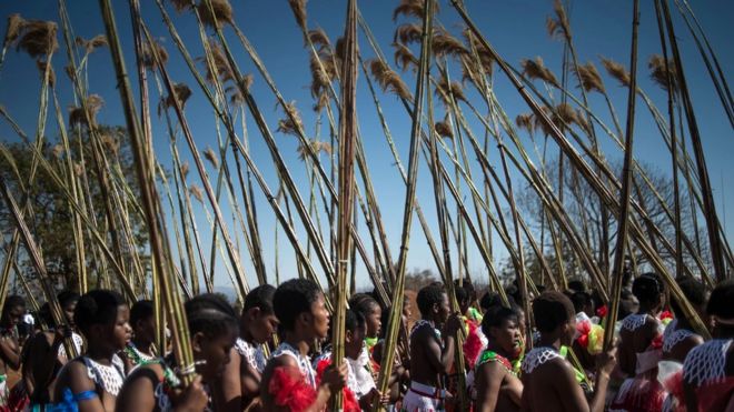 Женщины с тростником во время танца с дождем в Свазиленде - 2016