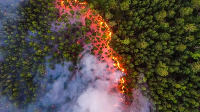 Forest fire in Siberia