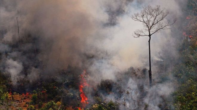 Amazonas tras los incendios, 23 agosto 2019