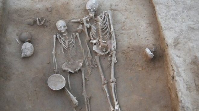 скелети пара