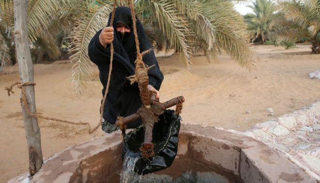 Женщина берет воду из колодца в Ливе, к югу от Абу-Даби
