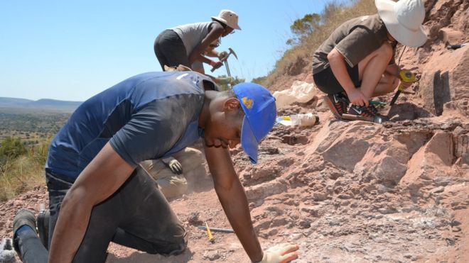 Команда палеонтологов, работающих на раскопках
