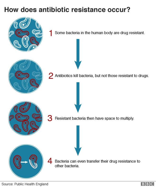 Диаграмма, показывающая, как антибиотики растут резистентностью