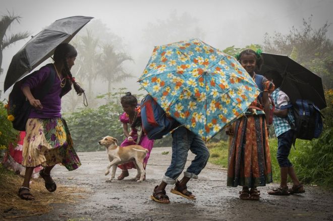 மழையில் கொண்டாட்டம் - நித்தீஷ் சுந்தரம்