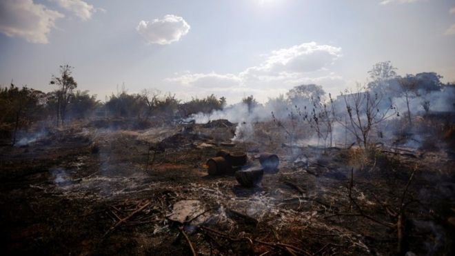 DevastaciÃ³n en Brasilia causada por los incendios forestales que sufre Brasil.