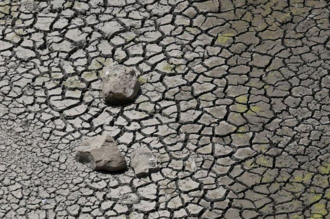 Треснувшая почва на плотине Манджара видна в Османабаде, Индия, 17 апреля 2016 г.