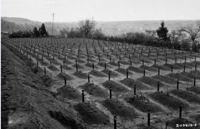 Вид на кладбище в Институте Адамара, где в братских могилах были похоронены жертвы нацистской программы эвтаназии