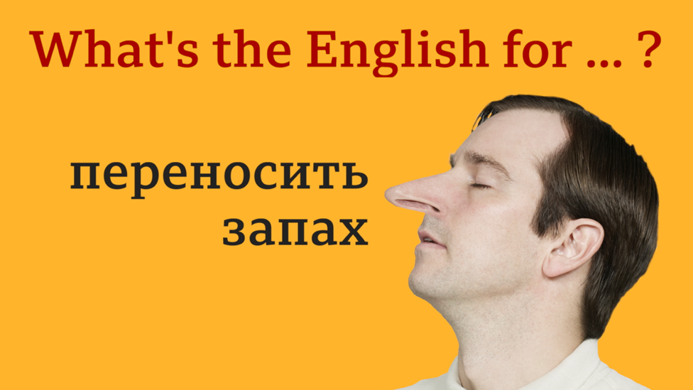 What's the English for "переносить запах"?