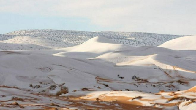 В алжирской части Сахары в третий раз за 40 лет выпал снег.