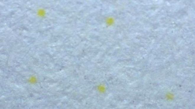 Желтые точки, увеличенные в 60 раз, были обнаружены на распечатанных страницах секретного документа