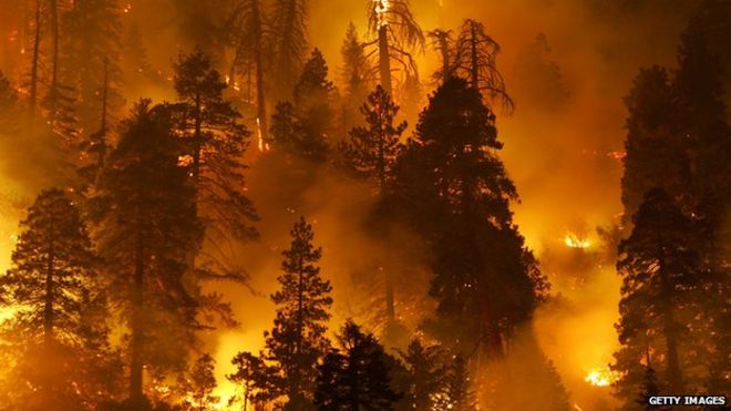 Небольшие беспилотники, летающие рядом с лесными пожарами, предотвратили взлет пожарного самолета