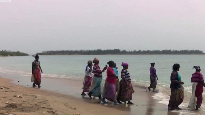Žene koje rone za algama u Indiji