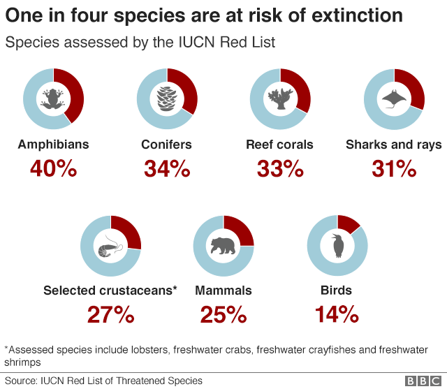 график, показывающий, как каждый четвертый вид из числа включенных в Красный список МСОП находится под угрозой исчезновения, в том числе 40% амфибий и 14% птиц
