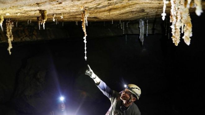 A caver points to salt stalactites