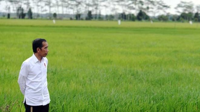 food estate