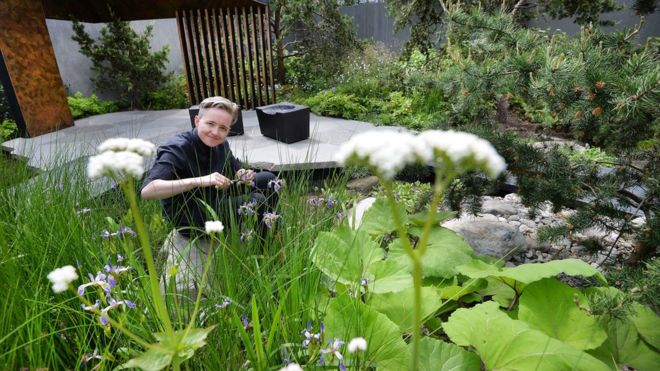 Charlotte Harris, the designer of the Royal Bank of Canada garden, works on final preparations