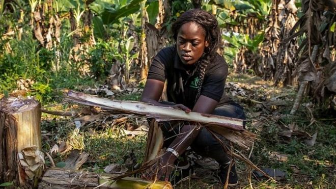 Afrique Avenir reçoit Armelle Sidje Tamo, fondatrice de la start-up PRA (Products Related to Agricultural sector).