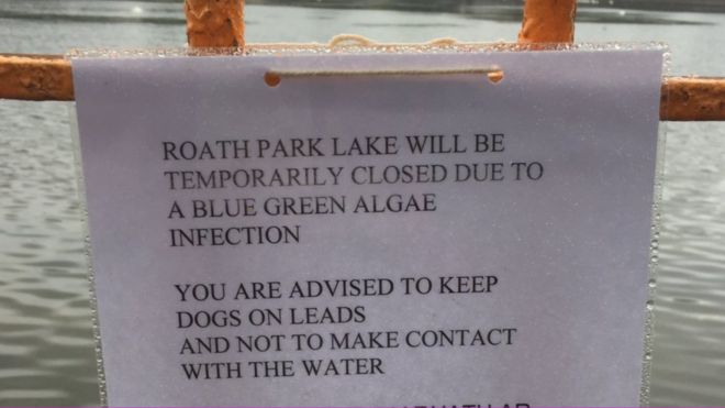 Вокруг озера установлены знаки