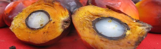 Плоды пальмового масла