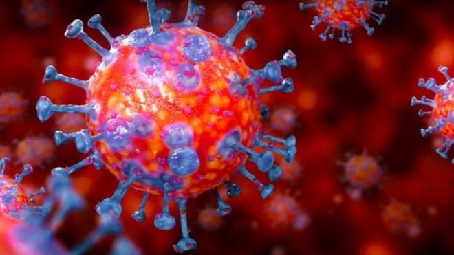 করোনাভাইরাস