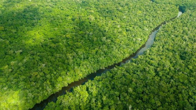 vista aérea da floresta amazônica
