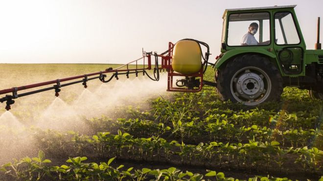 Trabajador fertiliza un campo sembrado con soya.