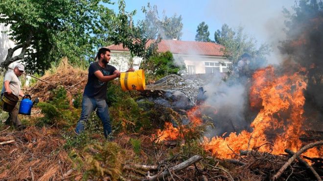 Locals use buckets trying to extinguish a wildfire in Atalaia Fundeira near Cernache do Bonjardin on 19 June 2017