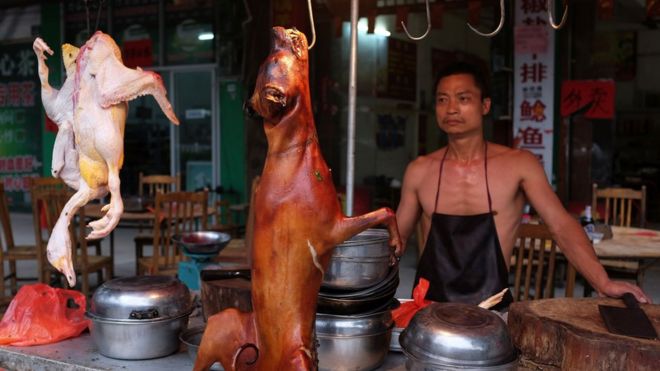 Dog meat on sale at the 2016 festival