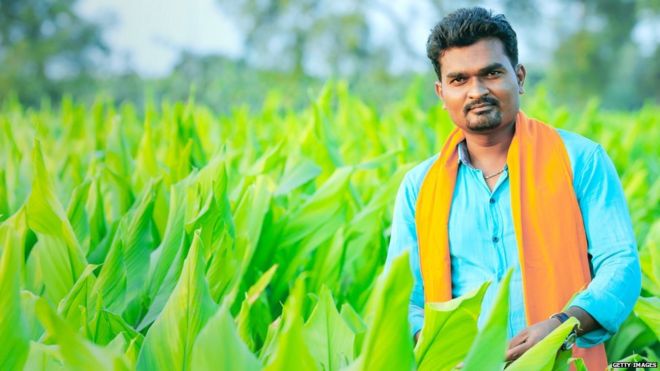 प्रातिनिधिक फोटो