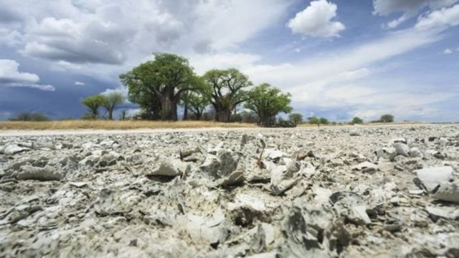 Zona desértica en Botsuana