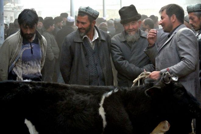 Уйгурские мужчины собираются на базаре, чтобы продать своих овец в Хотане, в регионе Синьцзян