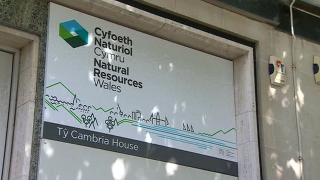 Знак природных ресурсов Уэльса