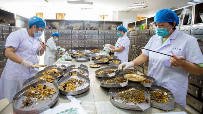 Trabajadores preparando medicina tradicional china.