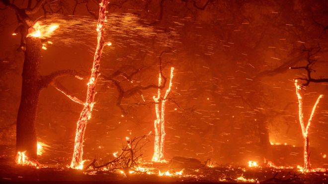Árboles envueltos en llamas en California cerca de la localidad de Paradise en novimebre de 2018