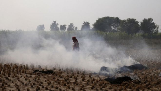 Фермер идет по дыму, вызванному поджогом сельскохозяйственных отходов в Палвале, штат Харьяна, к югу от Нью-Дели, Индия.