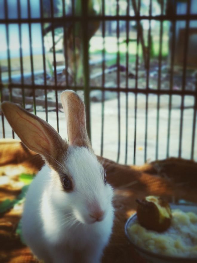 A. MANIKANDAN, சேலம்