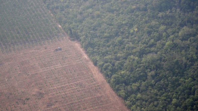 Imagem aérea mostra trator em uma plantação ao lado de floresta perto de Porto Velho (RO)