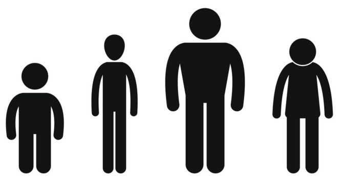 Average Human Height Chart