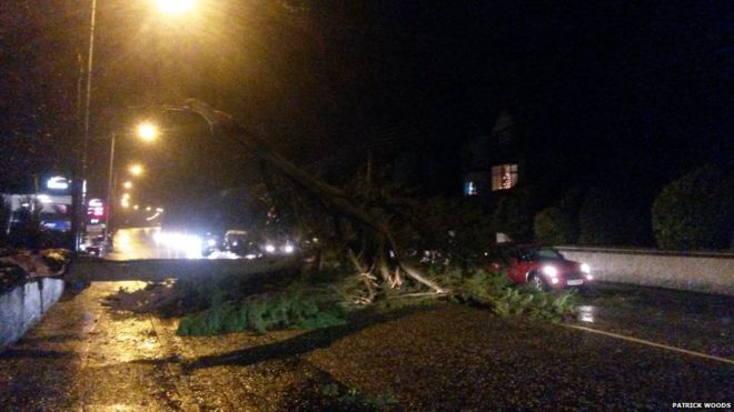 Упавшее дерево на Дублине Роуд, Ньюри, заблокировало движение, покидающее город