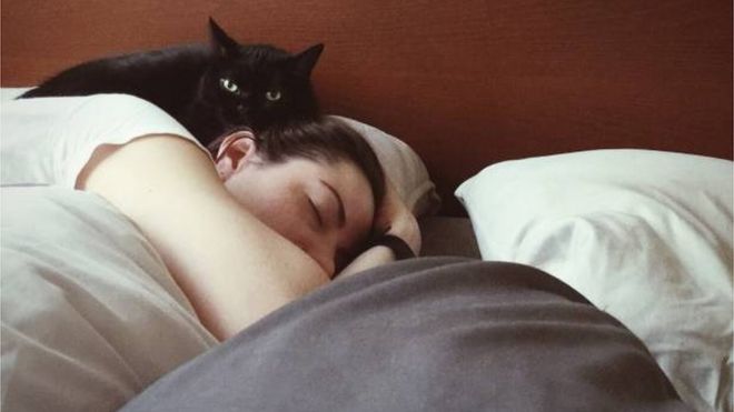 รูปแมวดำบนหัวนอน