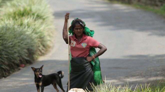 இலங்கையில் பெரும் சத்தத்துடன் நிலஅதிர்வு - அதிர்ச்சியில் மக்கள்