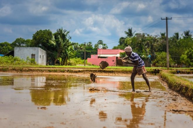 ந. துளசி வா்மா