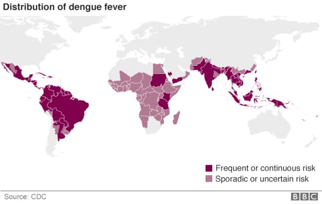 Карта, показывающая распространение лихорадки денге