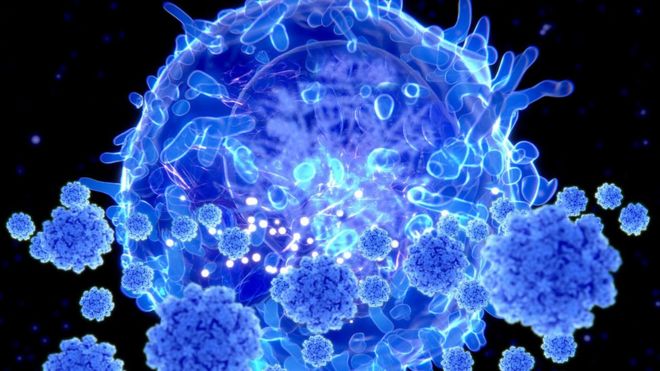 Антитела не гарантируют иммунитет к коронавирусу?