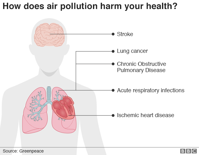 рисунок, показывающий воздействие загрязнения воздуха на организм