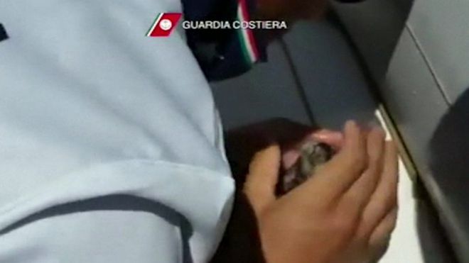 Gatinha afogada é salva com respiração boca a boca pela guarda costeira italiana