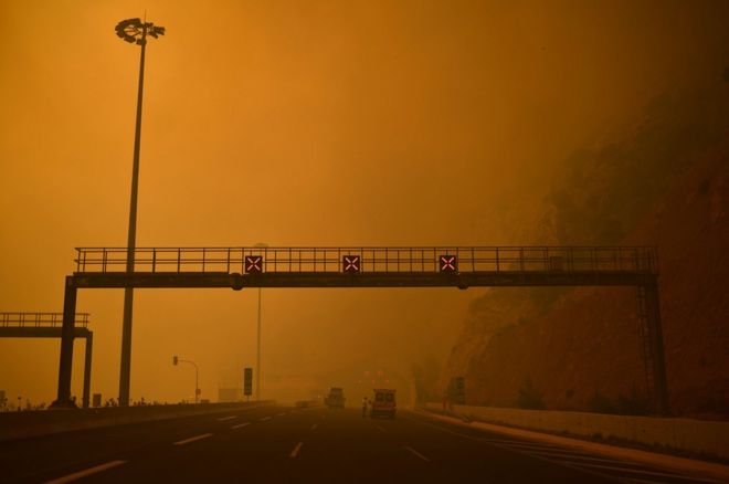 Дорожный блок установлен среди дыма в результате ожогов лесного пожара в Кинете, недалеко от Афин, 23 июля 2018 года
