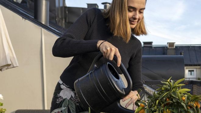 Mujer sueca regando una planta