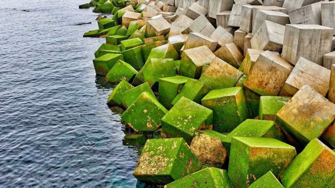 cubos de cemento al lado del mar