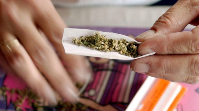 Woman rolls a marijuana joint in San Francisco, California